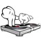 DJ Broome