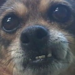 КиШ