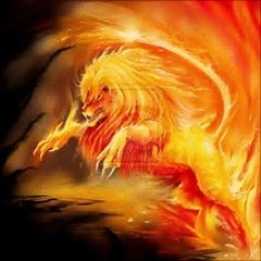 Ion Lions