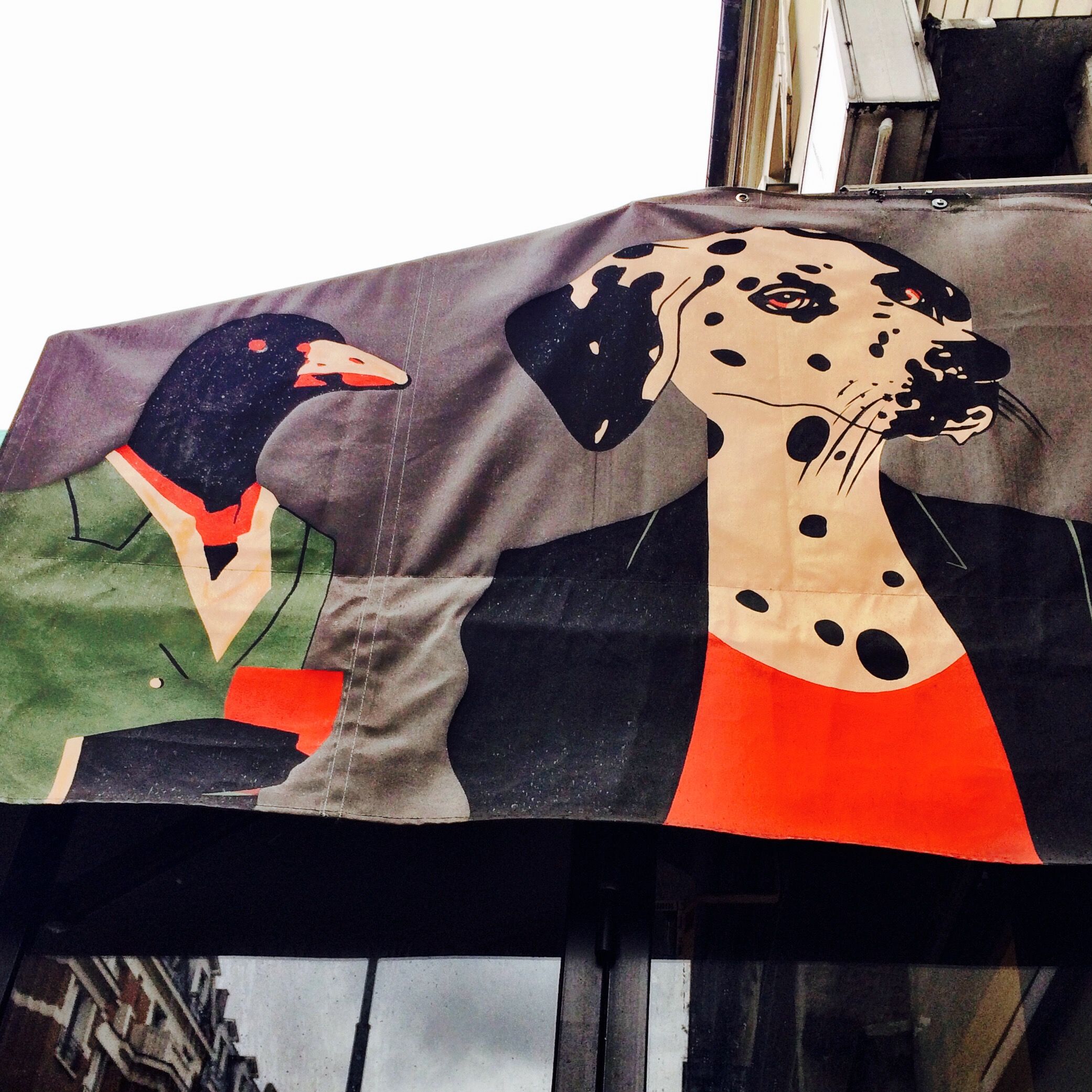 The Joel and Iris Show