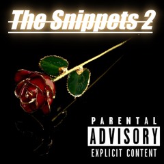 TheSnippets