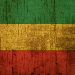 Rashid Rojas Quesada