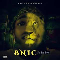 BNIC SirIvyLee