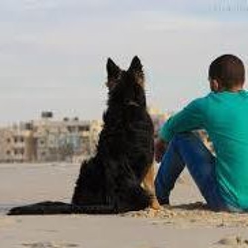 ياحمام