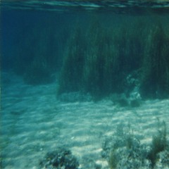 Noor Navillus (now Morning Sunshine!)