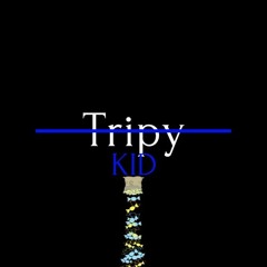 TripyKid