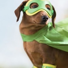 Sarah VanDerpool-Clough