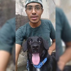 Luiz Henrique 252