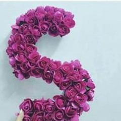 شيماء دنقل