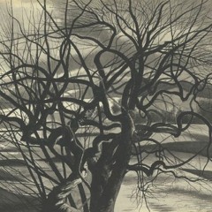 karl_von_klausenburg