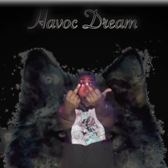 Havoc Dream