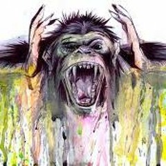 Monkey Groove