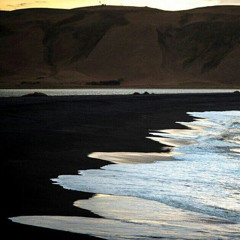 Алеся Игнатенко