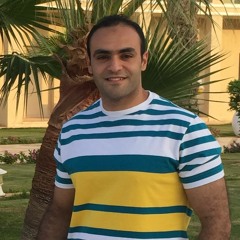 Amr Zizo