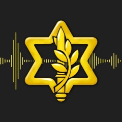 Israel Defense Forces