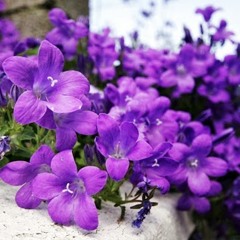 User 660761986