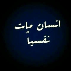 User 103685990