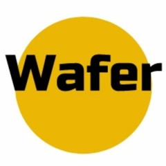 Wafer