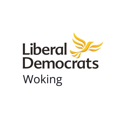 Woking Lib Dems’s avatar