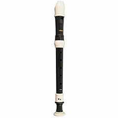 RECORDER version of its every day bro