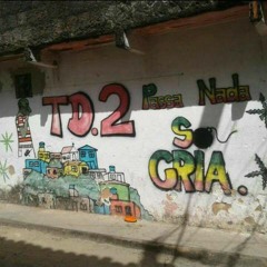Tudu 2 e o trem ✌