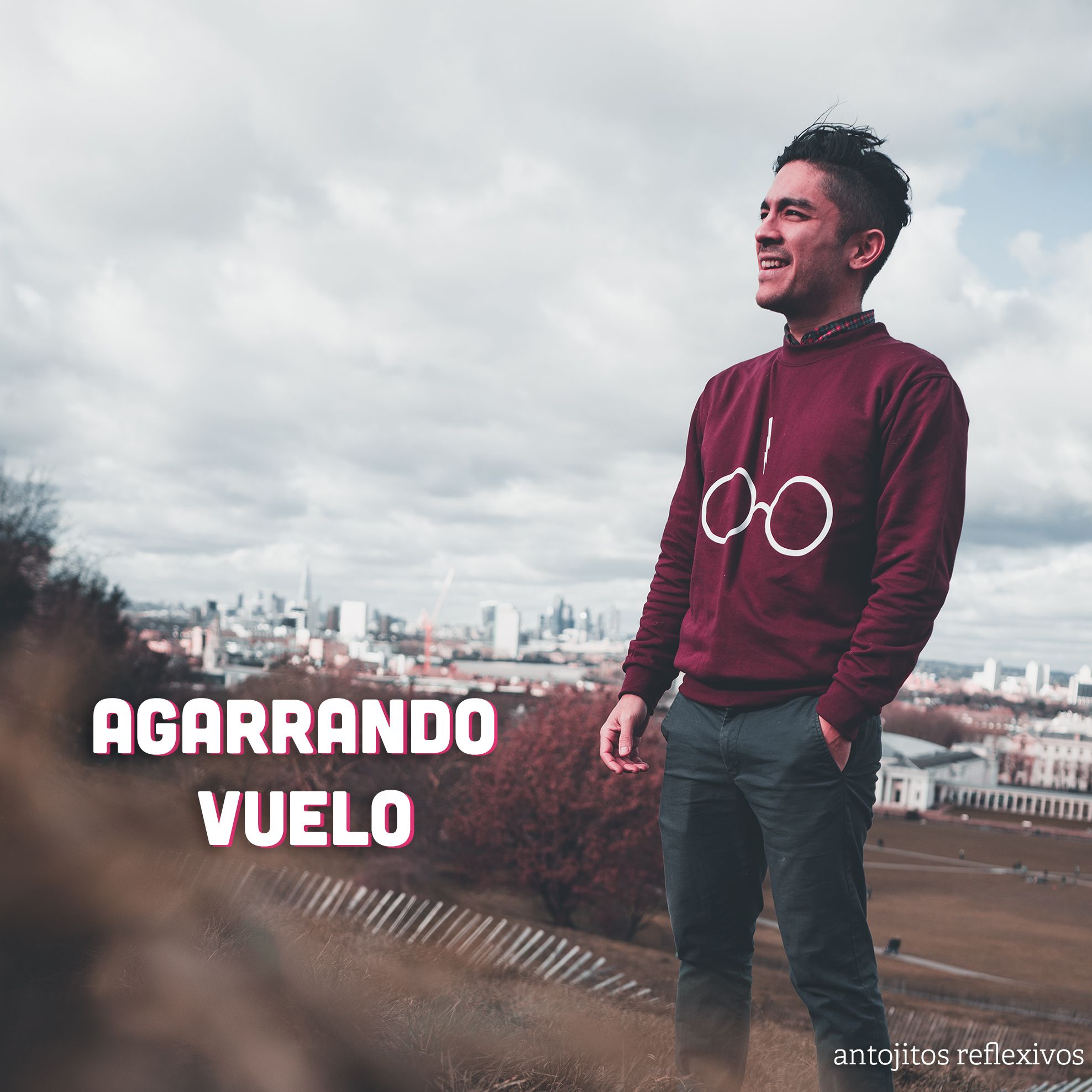 Agarrando Vuelo