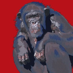 m.f.t. Chimpanzee
