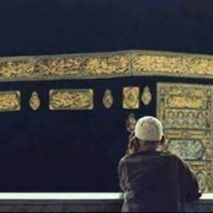 نشيد