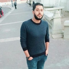 Mohamed Elsaadany