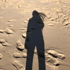 Fly.N
