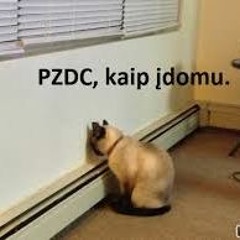 DzIuG AsAs