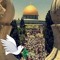 روز فلاور