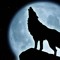 Moon_Wolf