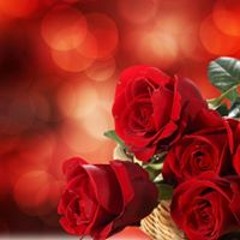 فطومه فطومه