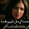 Souzan Hassan