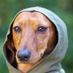 024 - AQUATIC ERECTIONS