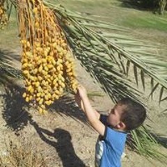 anas