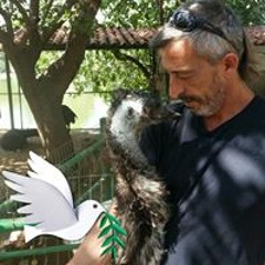 שמעון חי חזיזה