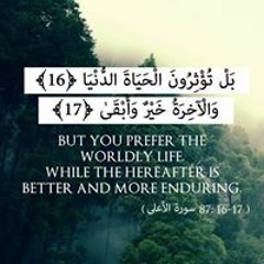Alaa Aly