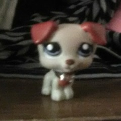 lpskitten