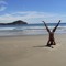 Rogerio Nunes