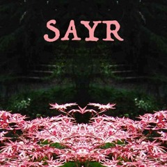 Sayr