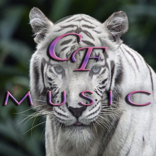 Criis Fodera Music’s avatar