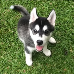 Snakehips MØ - Dont Leave In The Live Lounge