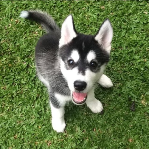 Snakehips MØ - Dont Leave In The Live Lounge