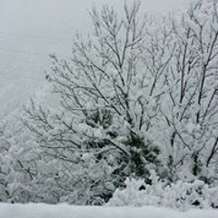 Sylvie Dorville Lubin