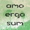 amo ergo sum