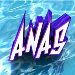 anas alansari