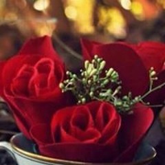 ابرار العنزي