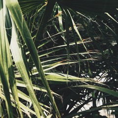 Z E E ' S    C L O U D